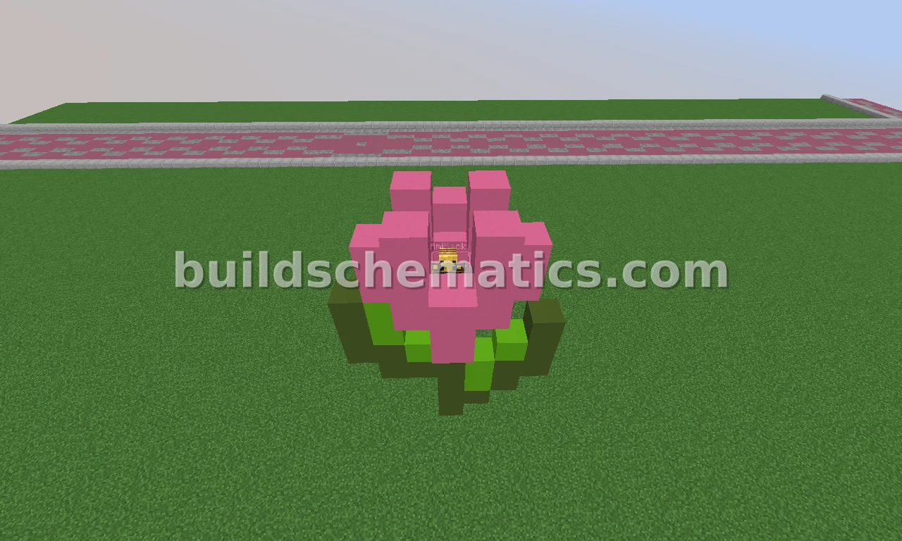 Pink Tulip Flower