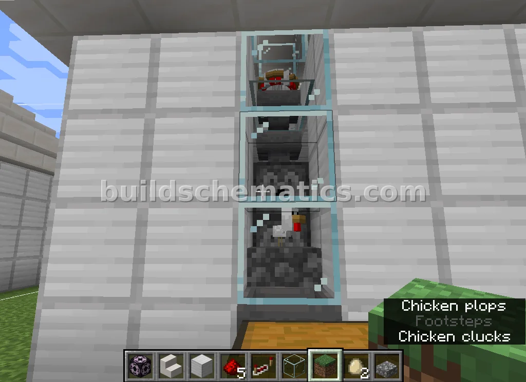 Automatic Chicken Farm
