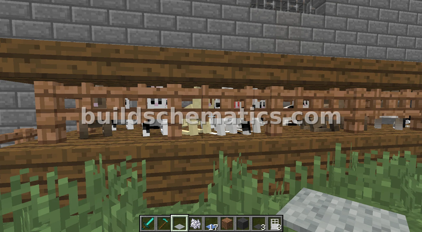 Modern House With Bunny Farm — view 3
