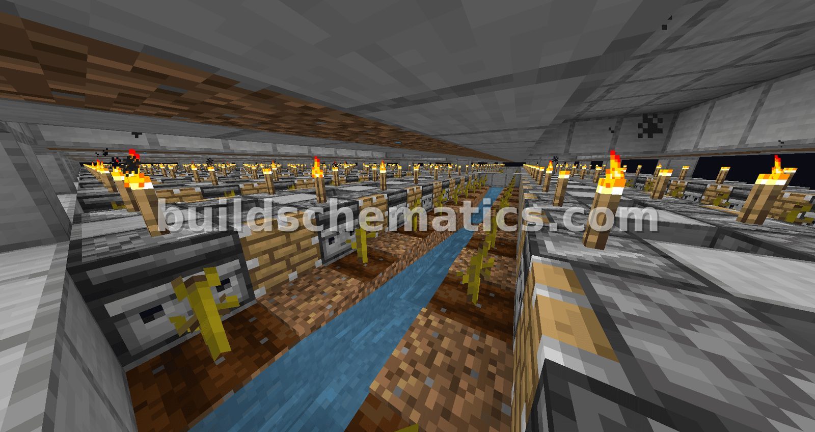 Giant Pumpkin and Melon Farm — view 2