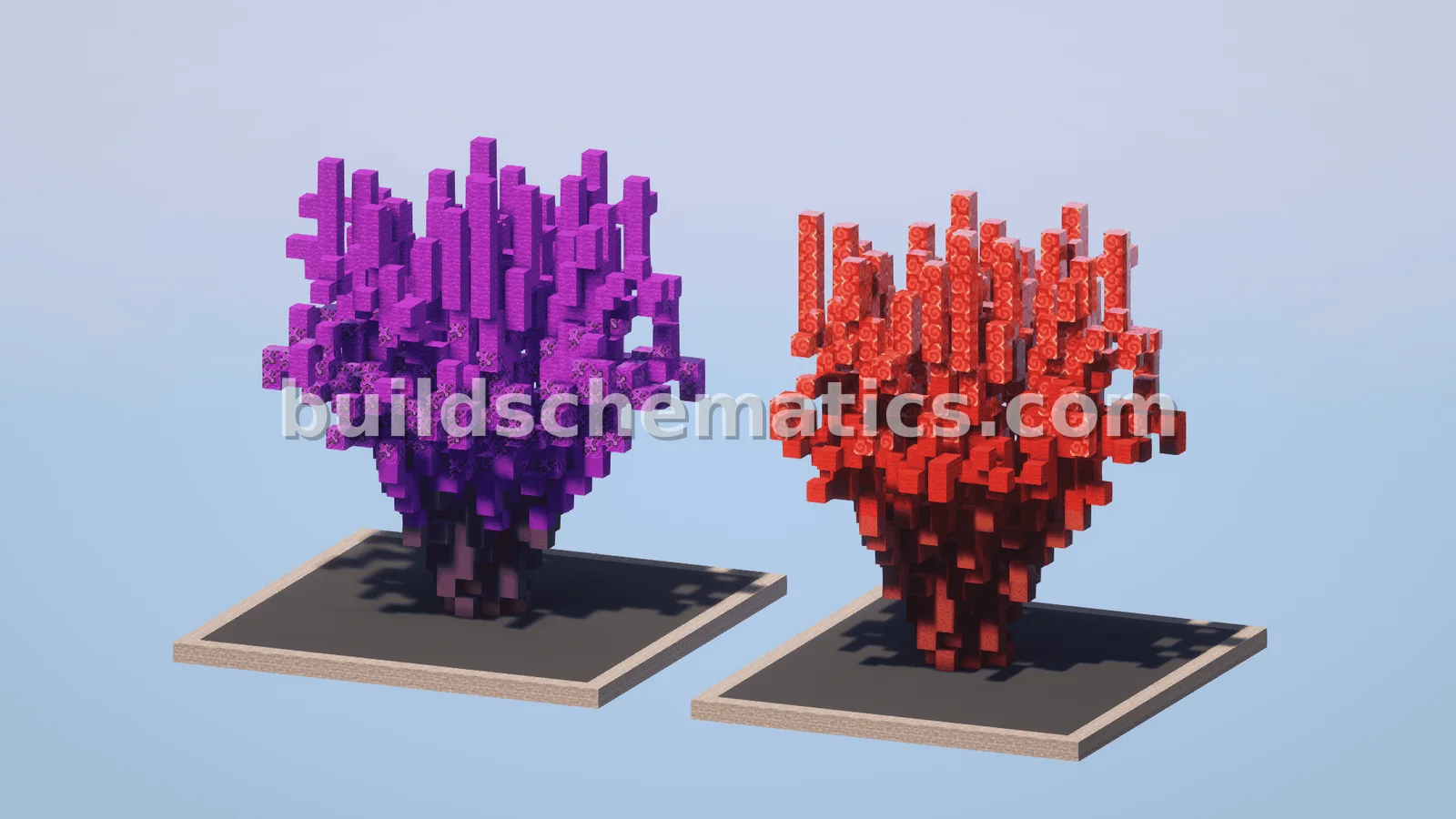 Custom Coral Tree Pack