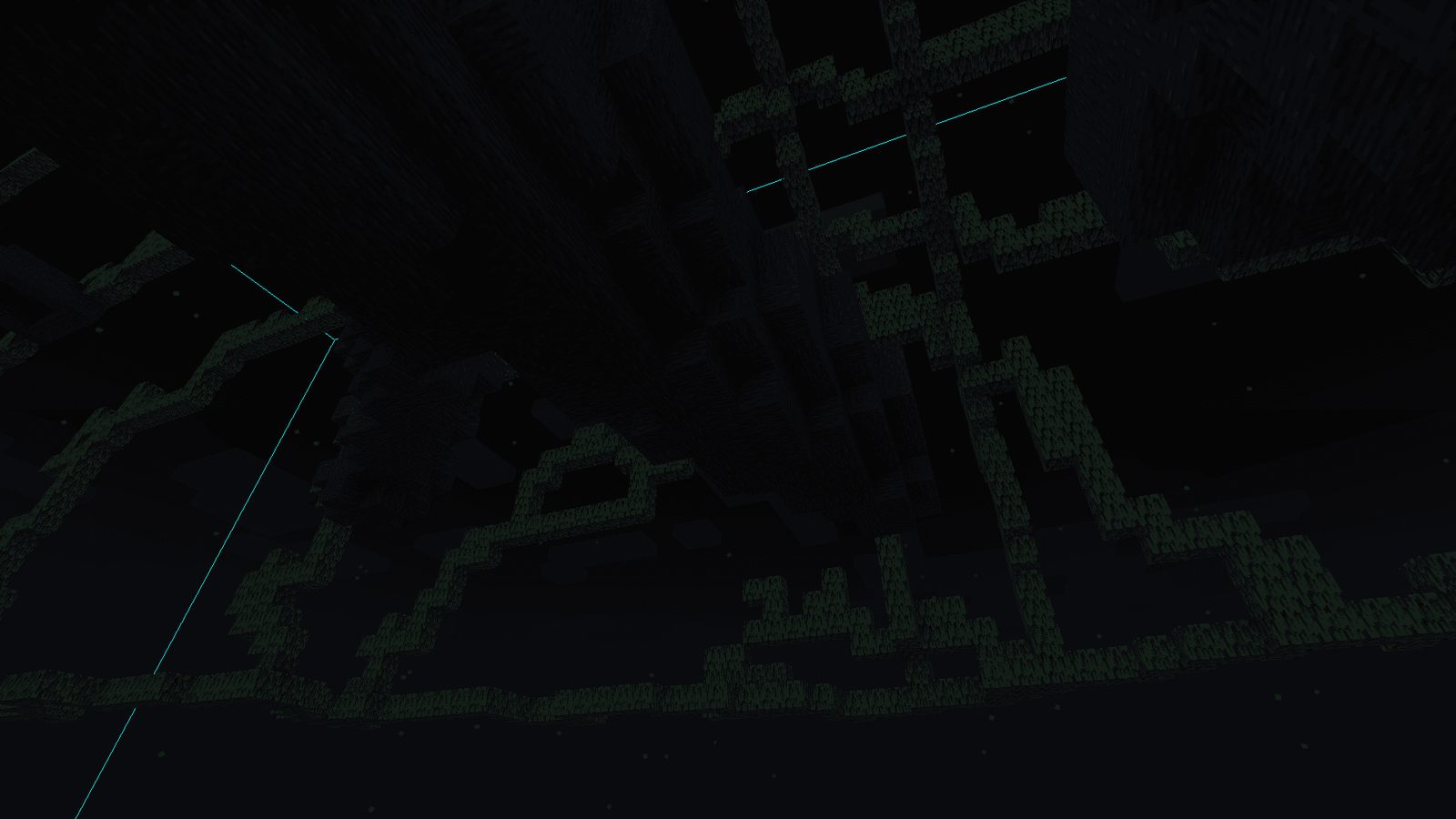 Tree Canopy With Leaves