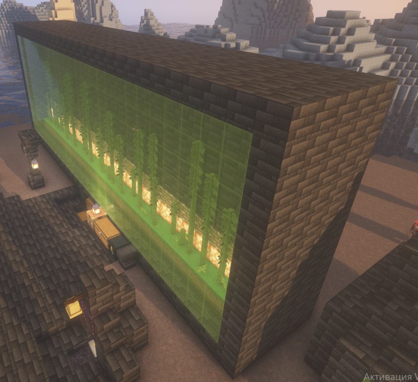 Efficient Thin Bamboo Farm