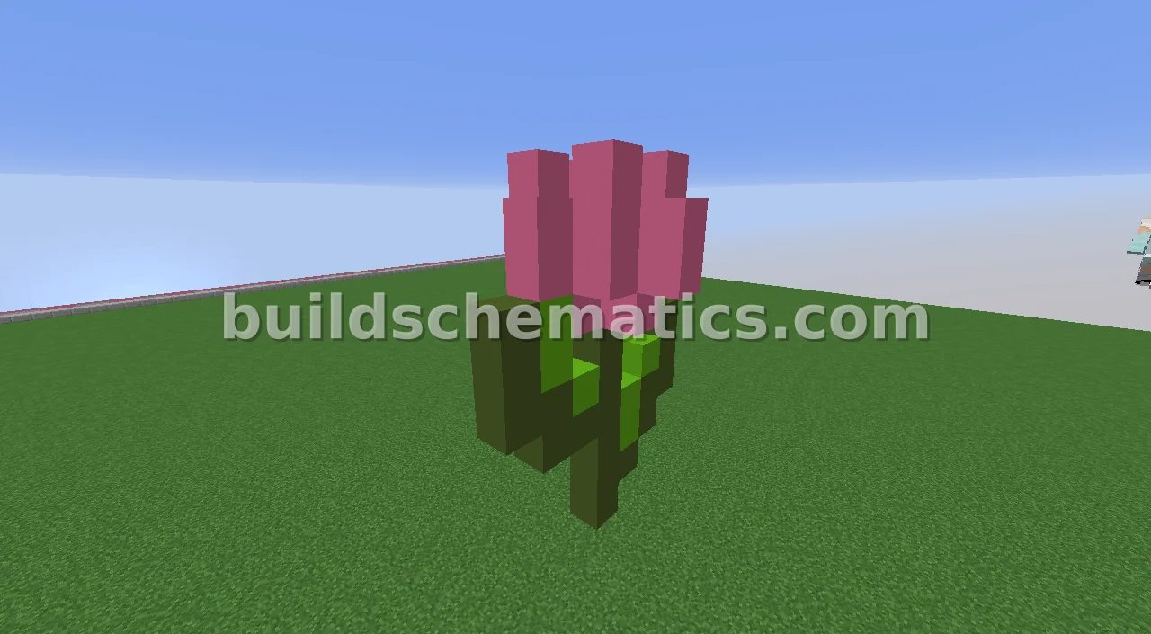 Pink Tulip Flower — view 2