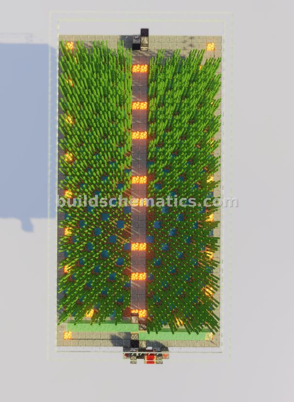 High-Capacity Sugar Cane Farm — view 2
