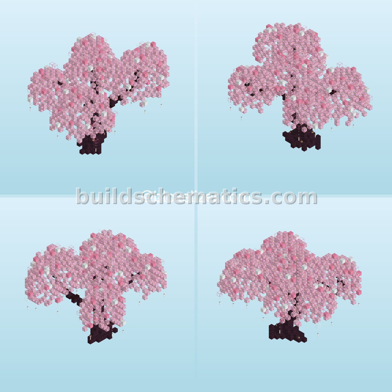 Cherry Blossom Tree