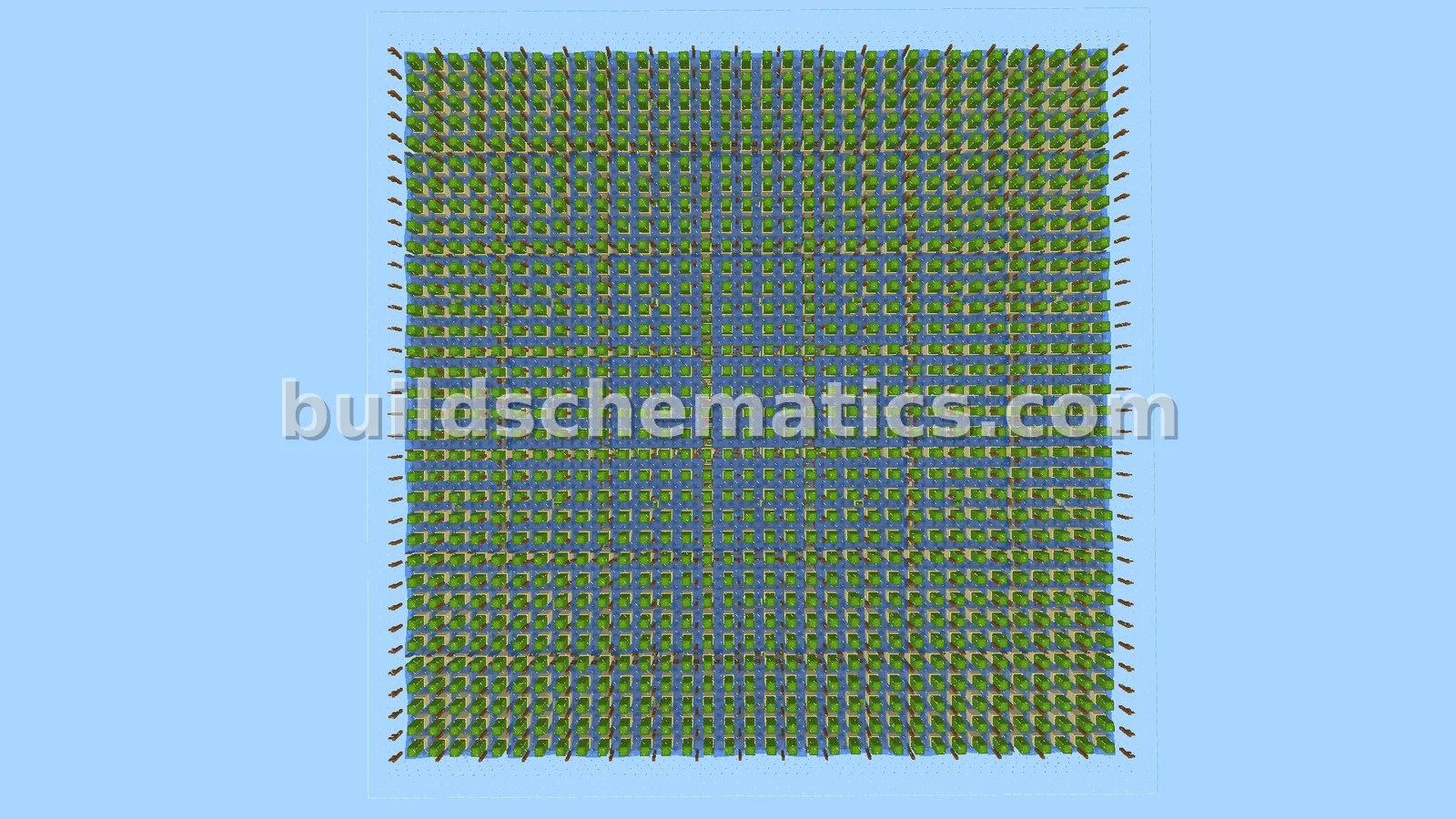 Cactus Farm — view 2
