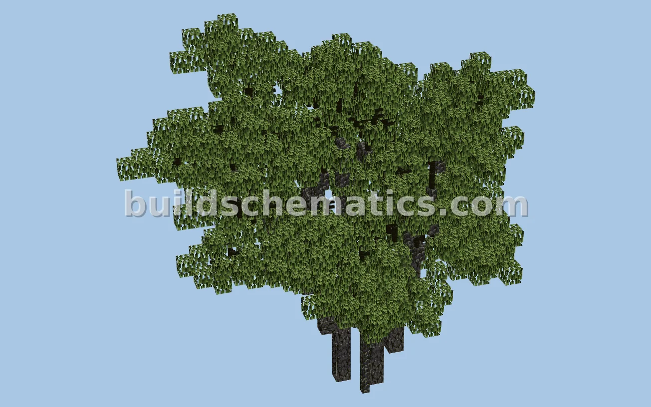 Alligator Juniper Tree