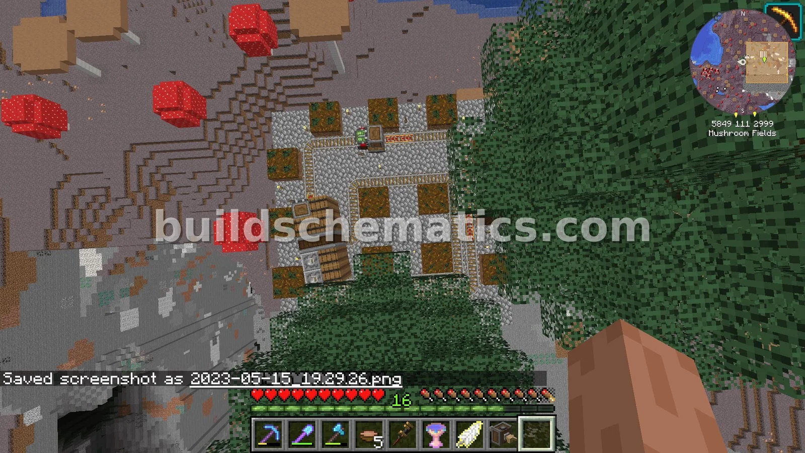 Giant Spruce Tree Farm — view 2