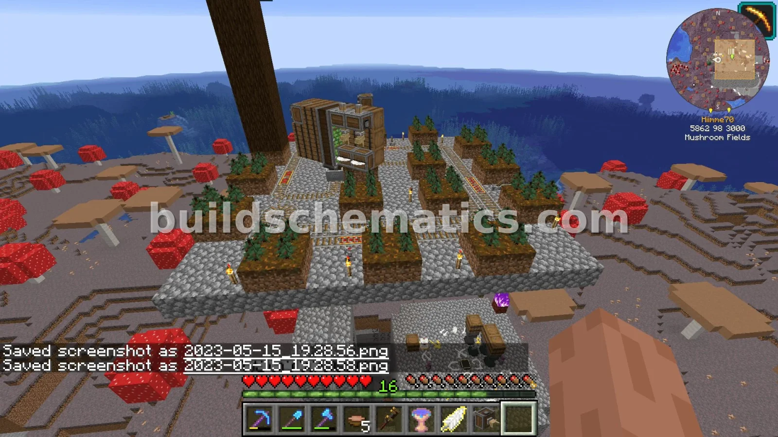 Giant Spruce Tree Farm — view 3